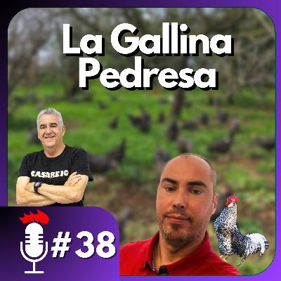 🎙️ La GALLINA PEDRESA, una raza cántabra | Podcast #38 con David Pérez