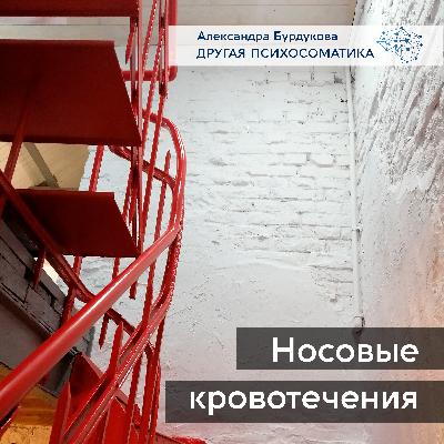 Носовые кровотечения