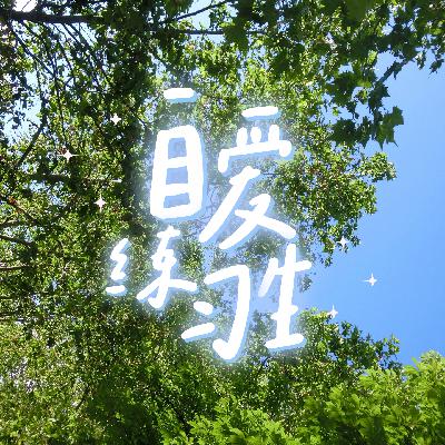 E95. 懒人独居，如何轻松实现高质量生活？