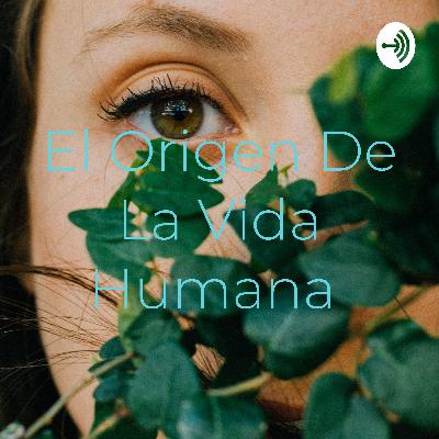 Origen de la vida humana.