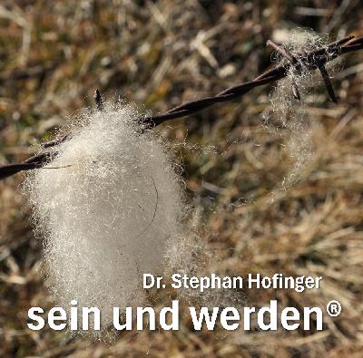 #8 - Friedens-Gedanken #8 - Friedens-Gedanken