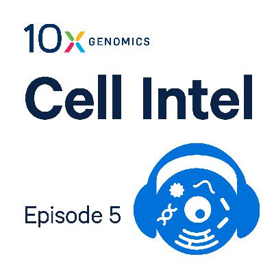 Beyond the Transcriptome