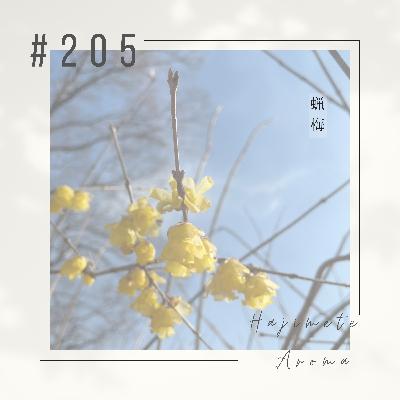 第２０５ 話 / 蝋梅