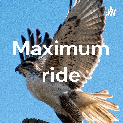 Lets talk-Maximum Ride: The Angel Experiment