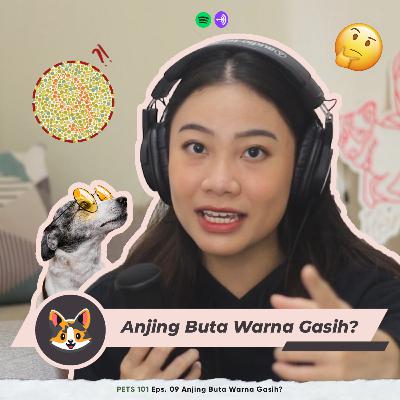 PETS 101 Eps. 09 Anjing Buta Warna Gasih??