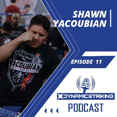 Dynamic Striking 011: Shawn Yacoubian