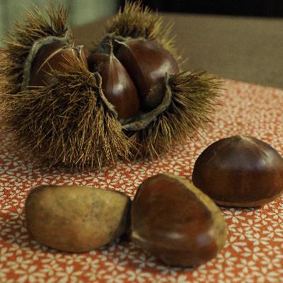 新美南吉「ごん狐」