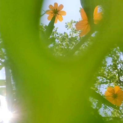 Épisode 10 - La réalisation de mon être