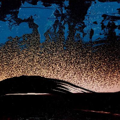 CANTICO Sergio Costa Ministro dell'Ambiente, "La giornata internazionale delle foreste" CANTICO Sergio Costa Ministro dell'Ambiente, "La giornata internazionale delle foreste"