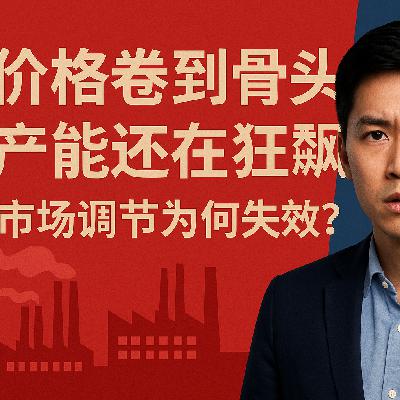 E133 价格卷到骨头 产能还在狂飙：市场调节为何失效？