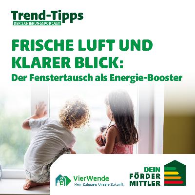 Frische Luft und klarer Blick: Der Fenstertausch als Energie-Booster