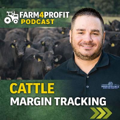 What’s Working: Real-Time Data for Cattle Producers