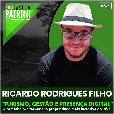 #246 - Turismo, gestão e presença digital