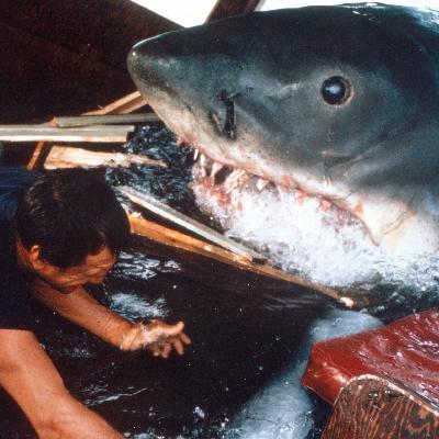 50 Jahre „Jaws“ - Hat dieser Haifisch noch Zähne?