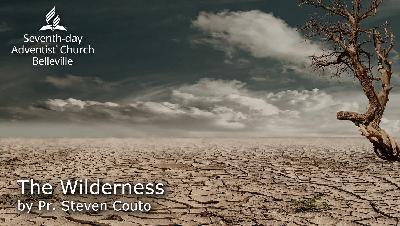 The Wilderness by Pr. Steven Couto