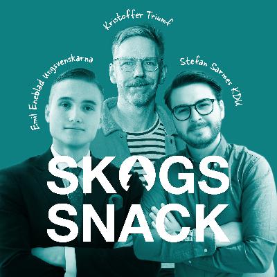 KDU + Ungsvenskarna: "Man får en annan känsla när man bygger i trä"