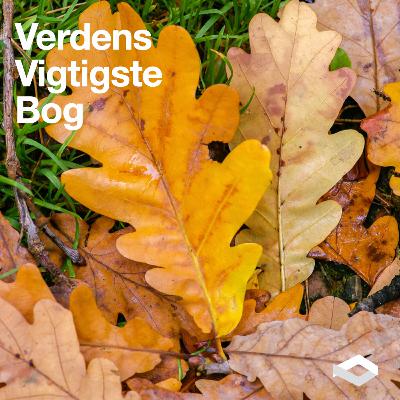 Samuel, Saul og David 4/7 | "Men Herren ser på hjertet..." | Troels Nymann