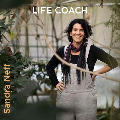 Meditation Vertiefe deine Selbstliebe