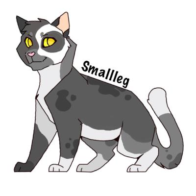 Creating an OC using a name generator!
