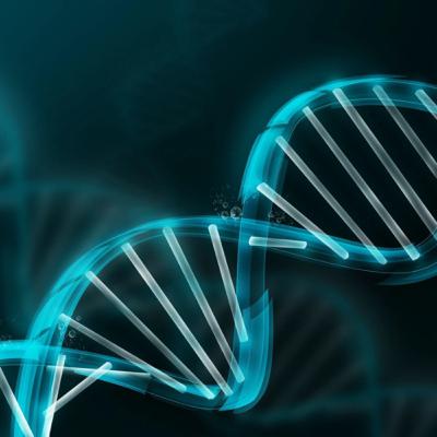 Ácidos Nucleicos, el ADN
