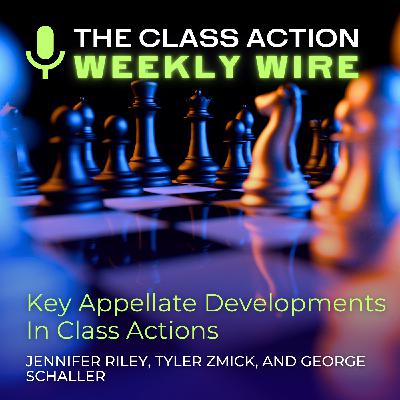 Episode 98: Key Appellate Developments In Class Actions