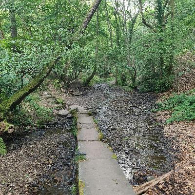 Sound Escape 238. Pause on a bridge over a late summer stream