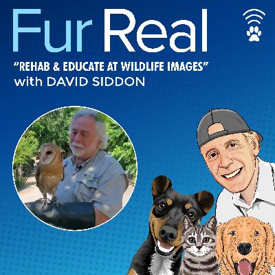 "REHAB & EDUCATE AT WILDLIFE IMAGES" with Dave Siddon