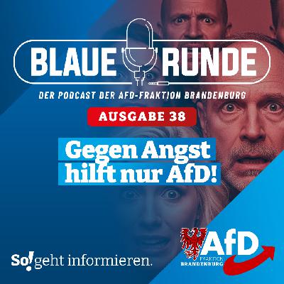 Gegen Angst hilft nur AfD! | Die Blaue Runde, Ausgabe 38/25 vom 16. Juni 2025
