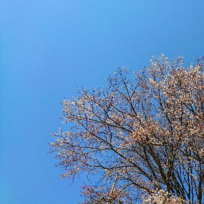 #5 僕やばがいい