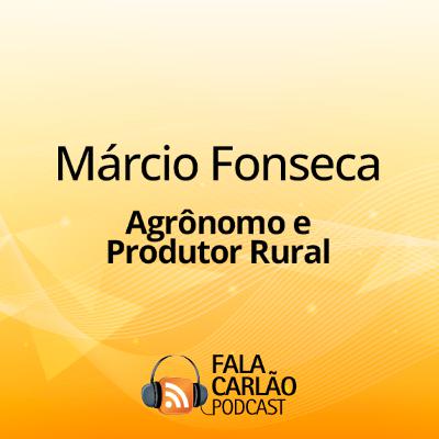 Manejo eficiente nos pampas garante produtividade no campo | Fala Carlão