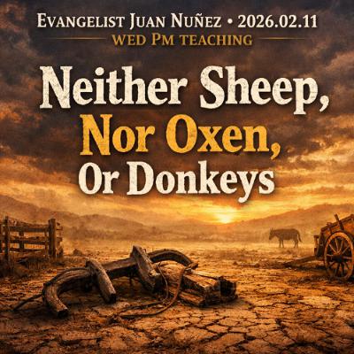 Evangelist Juan Nuñez - 2026.02.11 WED PM TEACHING - Neither Sheep, Nor Oxen, Or Donkeys