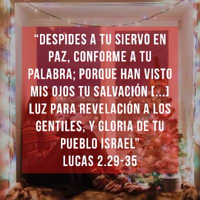 Reflexiones (Episodio 08) - Disfrutando el nacimiento de Jesús [Lucas 2:23-35]