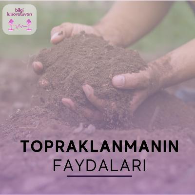 Topraklanmanın Faydaları