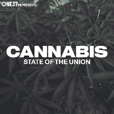 What is the future of cannabis? w/ Juicy J & Dr. Dina