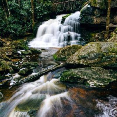 CELTIC MEDITATIVE JOURNEYS – Journey to a Woodland Waterfall
