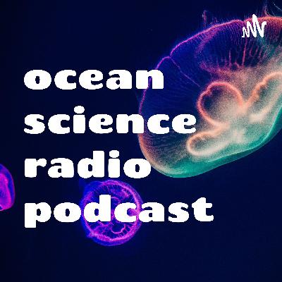 the effects of ocean pollution