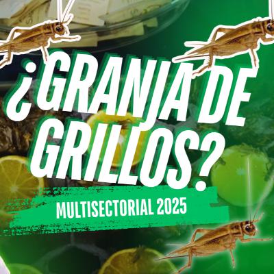 ¡¡Entrevisté Emprendedores Y La Granja De Grillos Me Dejó En Shock!! | Episodio #27