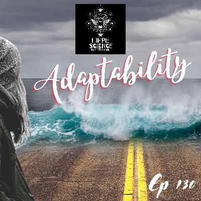 Adaptabilty Adaptabilty