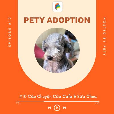 Pety Adoption #10: Câu Chuyện Của Bé Cà Phê và Sữa Chua