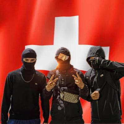LA SUISSE FACE A LA COLERE DE SES BANLIEUES LA SUISSE FACE A LA COLERE DE SES BANLIEUES
