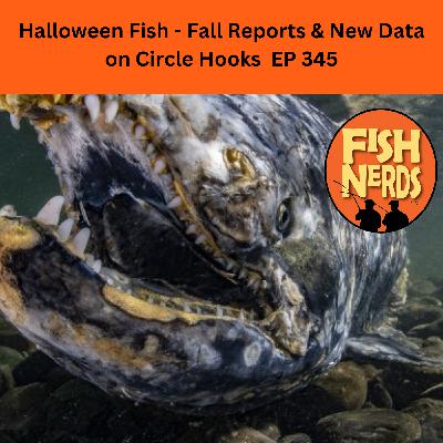 Halloween Fish - Fall Reports & New Data on Circle Hooks EP 345 Halloween Fish - Fall Reports & New Data on Circle Hooks EP 345