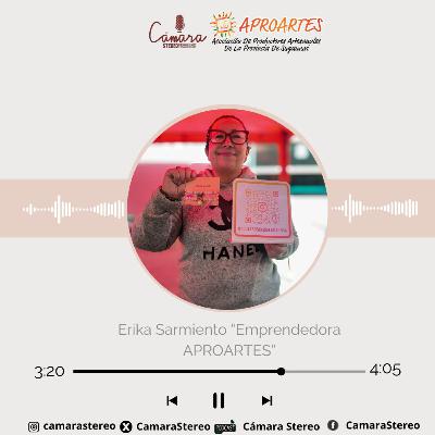 Accesorios Salamandra _ Emprendedora APROARTES