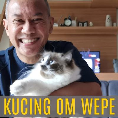 Kucing Aman Saat Banjir
