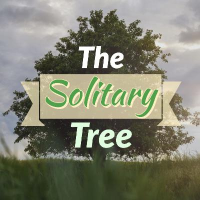 The Solitary Tree The Solitary Tree
