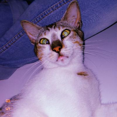 Lagu yang ku putar semalam