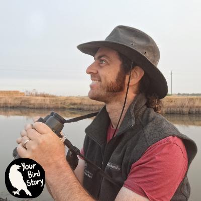 Aaron N.K. Haiman Birds the California Delta