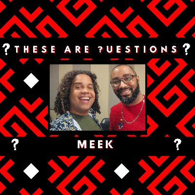 These Are Questions - Meek