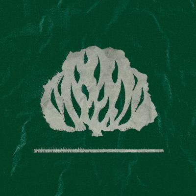 Culto Noite 02/08/2020