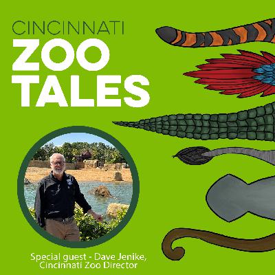 From Conservation to Community: Meet Cincinnati Zoo’s New Director