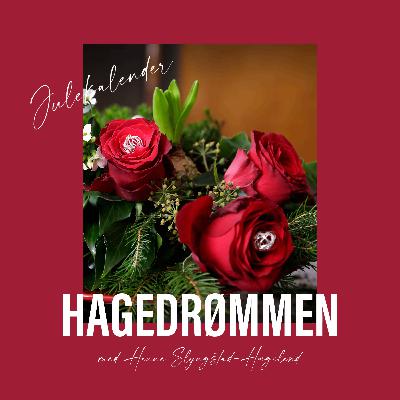 24. desember - Om den late hageeiers 6 bud
